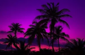 Sunset Celebration
